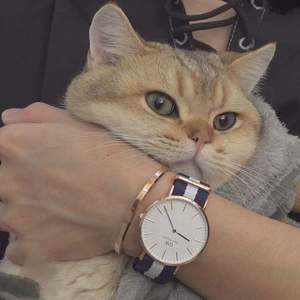 老公边干边说小骚B视频
